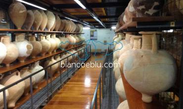 al museo di camarina rinvenute la piu grande collezione di anfore del mediterraneo