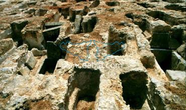 a camarina una delle piu antiche necropoli greche in sicilia