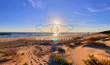 the sunset in the sandy beach of playa grande