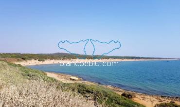 in randello beach the light blue color of the beach and the green colour of the flora