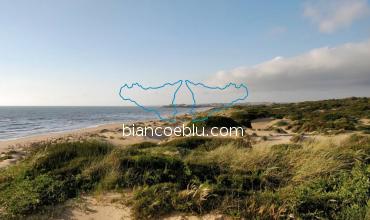 randello is a protected area for the amazing dunes and Mediterranean bush