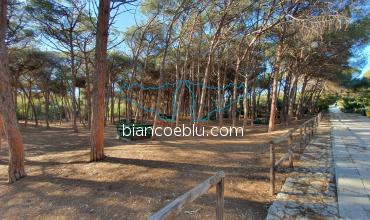 the rest area in the natural reserve of randello
