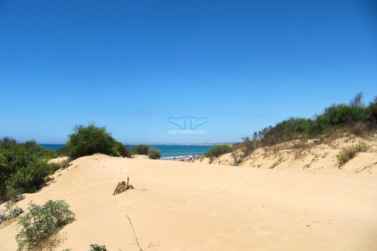Sandy beach of Santa Maria del Focallo Best beaches of Ragusa Sandy beach of Santa Maria del Focallo Best beaches of Ragusa